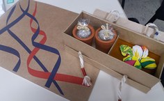 Desenvolvimento de projeto de eventos