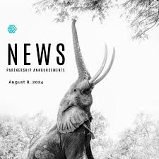 The Future of Collaboration Exploring AI B2B Partner Marketplaces