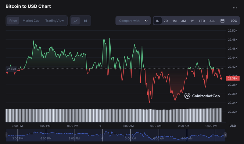 Salda Capitòn: Trading di criptovalute più intelligente con l'automazione AI