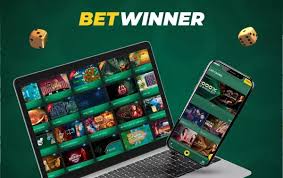 BetWinner Online Gambling Platform Your Gateway to Fun and Excitement